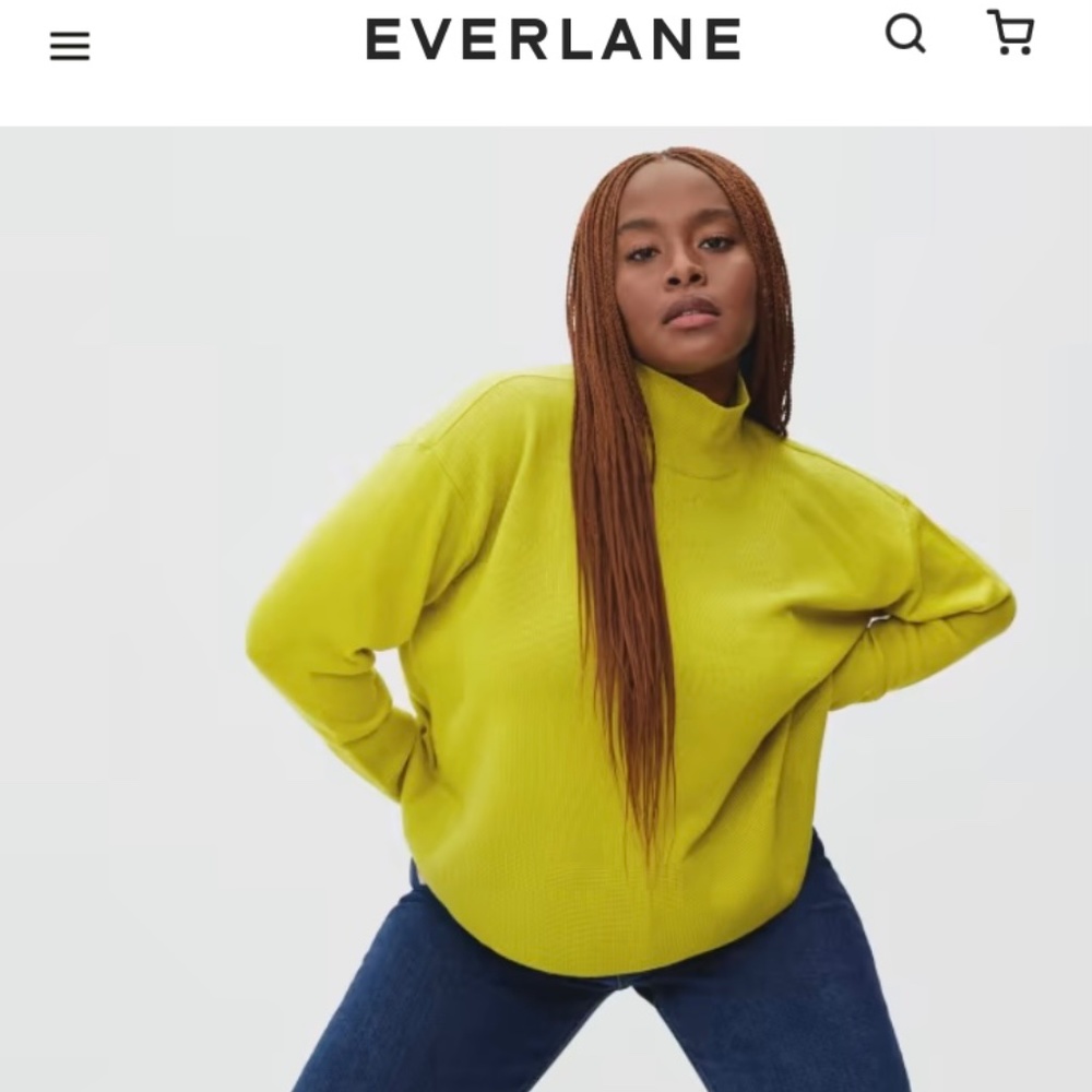 Everlane The Cashmere Square Turtleneck - Picture 7 of 7